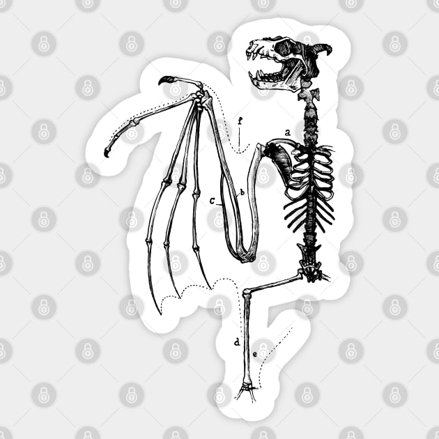 Anatomy of a Demon Sticker by LadyMorgan